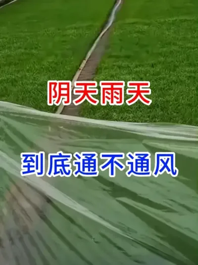 阴天雨天到底通不通风？ #传播农业种植小知识   #病虫害技术推广   #土传病害   #农业种植小知识