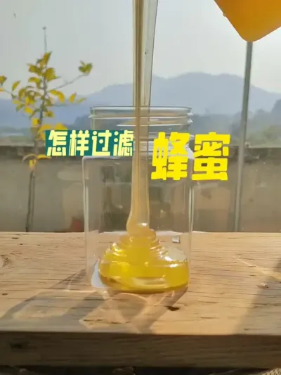 怎样过滤蜂蜜 怎样把蜂巢里面的蜂蜜过滤出来。#蜜蜂养殖 #我的农村生活 #新农人计划2025