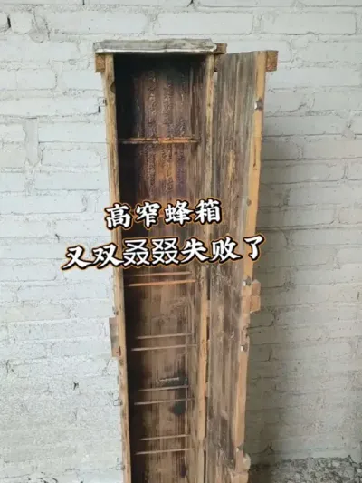 高窄蜂箱 1字形高窄蜂箱#老式蜂箱 #我的乡村生活 #新农人计划2025