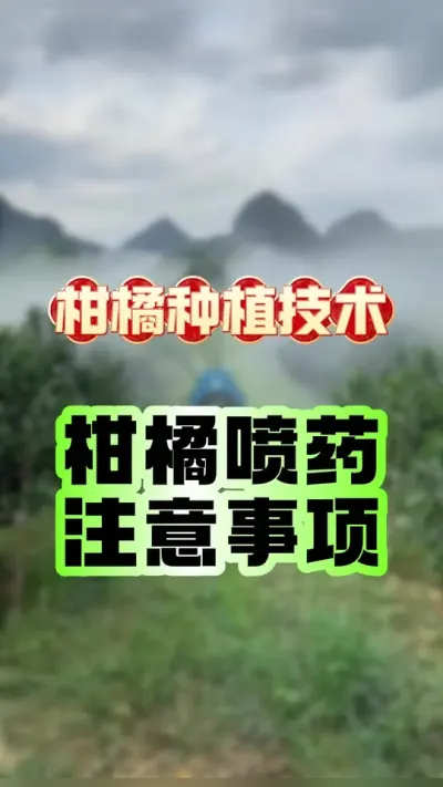#dou上热门 柑橘打药十个需要注意的问题 #农业种植 #柑橘种植 #科学用药 #三农