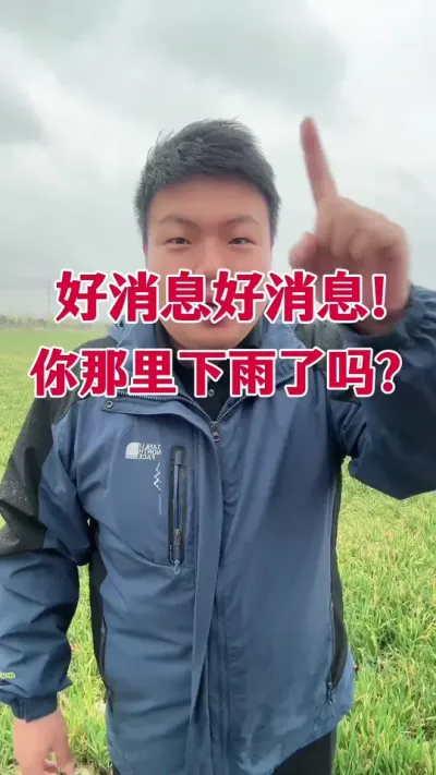 好消息！你那里下雨了吗？ #小麦种植 #传播农业小知识 #种植小技巧 #病虫害防治 #农业种植