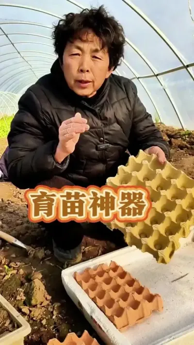 鸡蛋板育苗有大用处，你学会了吗#三农 #育苗 #蔬菜种植 #蔬菜杨大姐 #三农流量扶持计划 @DOU+小助手 @DOU+上热门 @抖音创作小助手