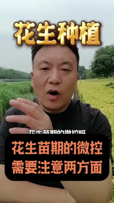 花生苗期的微控需要注意两方面。#花生种植管理技术