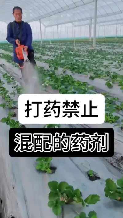 打药禁止混配的药剂