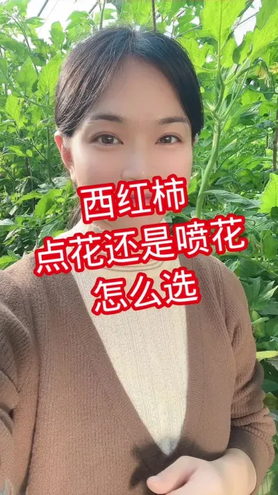 #西红柿种植#番茄点花  赞同就点个关注吧@抖音小助手