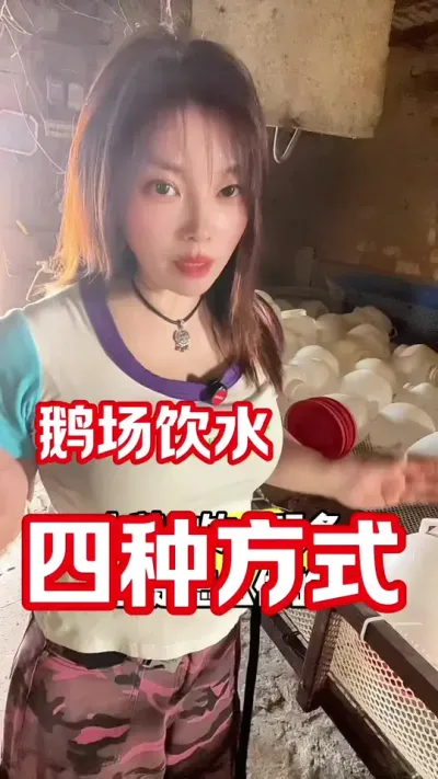 养鹅的四种饮水方式#养鹅人 #养鹅技术分享 #农村创业养殖 #每天分享养殖技术和经验