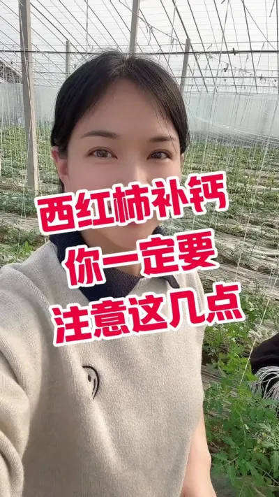 #西红柿种植#补钙#记录我的种植生活  小黄车下单@抖音小助手