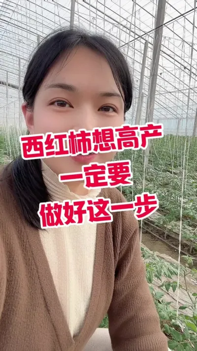 #西红柿种植#记录我的种植生活  #大棚种植  点个关注 互相学习吧@抖音小助手
