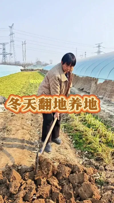 种菜先养地！#关注三农 #三农种植 #蔬菜种植 #三农 #种菜 @DOU+上热门 @抖音创作小助手 @DOU+小助手