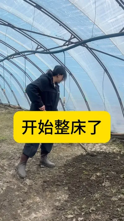 开始整床了 #下地干活了   #水稻种植  #分享农业知识帮农民增产增收   #水稻大棚