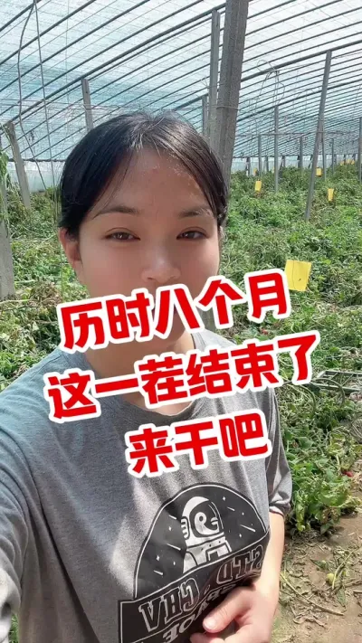 #西红柿种植 #大棚西红柿 #闷棚  再坚持几天，就要解放了😄@抖音小助手