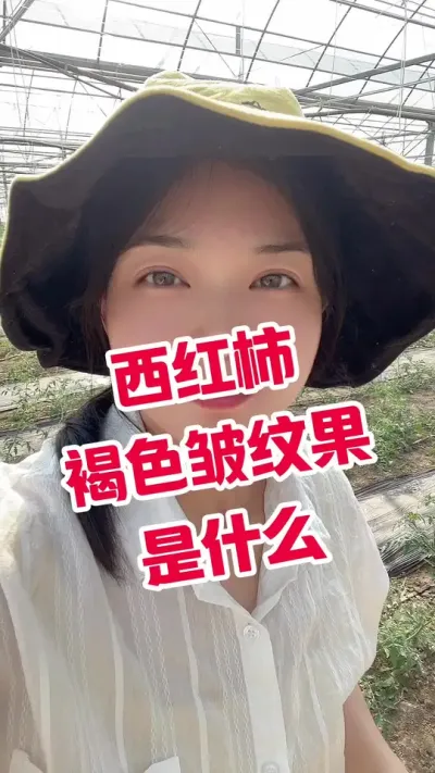 #西红柿种植#记录我的种植生活 #番茄种植 #壳寡糖 小黄车下单@抖音小助手