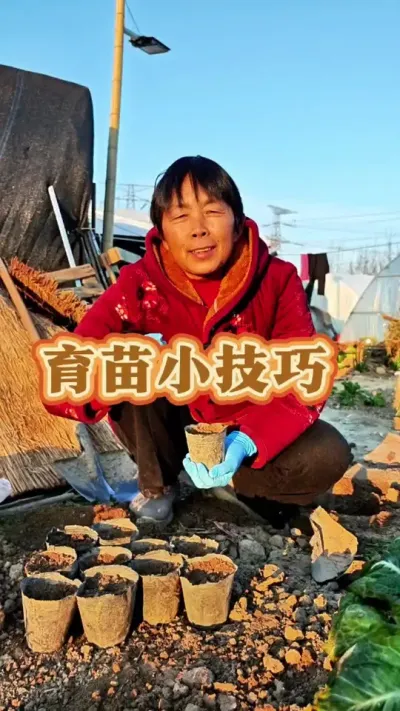 明年春天栽的南瓜丝瓜黄瓜辣椒茄子这些怎么育苗呢！#蔬菜种植种菜小技巧 #育苗 #育苗技巧 #三农 #蔬菜种植 @抖音创作小助手 @DOU+小助手 @DOU+上热门