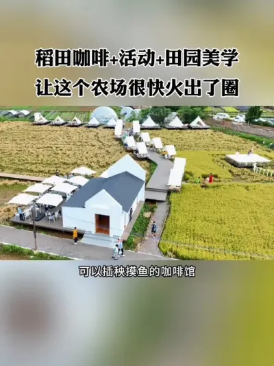 稻田咖啡+活动+田园美学，让这个农场很快火出了圈！#网红农场 #新农人 #休闲农业 #稻田咖啡 #农场