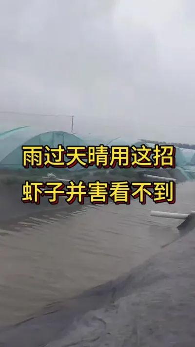 #嘉骏新水产#嘉骏集团#李新聊对虾#南美白对虾养殖#鱼虾蟹养殖