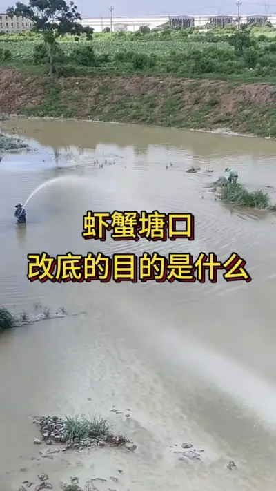 #嘉骏新水产#嘉骏集团#李新聊对虾#南美白对虾养殖#水产养殖技术
