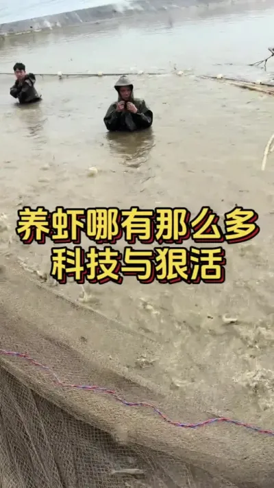 养虾哪有那么多科技与狠活#水产养殖 #养虾人 #水产人 #小棚养虾 #嘉骏新水产
