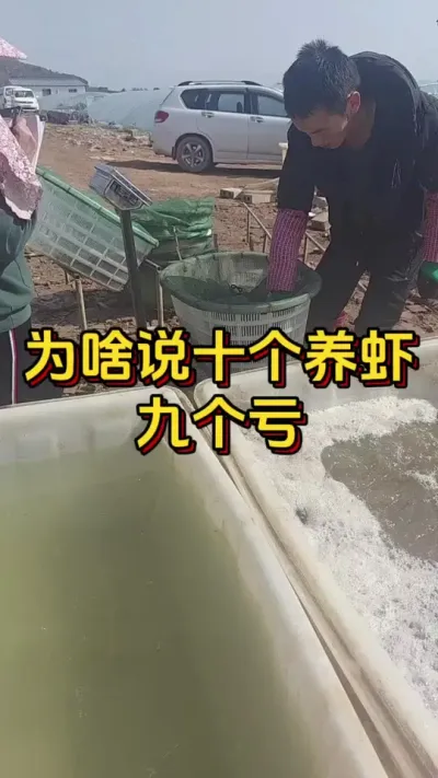 为什么说十个养虾，九个都亏#养虾人 #南美白对虾 #水产人 #嘉骏新水产 #嘉骏集团