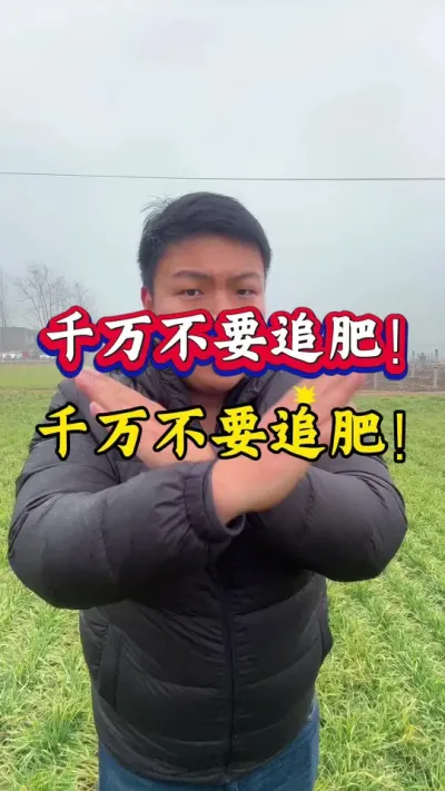 千万不要追肥！千万不要追肥！ #小麦种植 #种植小技巧 #小麦追肥 #小麦高产技术