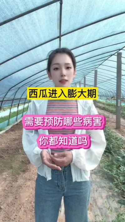 西瓜进去膨大期，需要预防哪些病害你都知道吗？#
