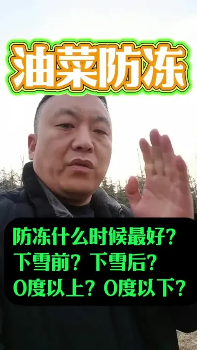 油菜防冻什么时候最好？下雪前？下雪后？0度以上？0度以下？#农业植保知识分享 #油菜种植 #作物防冻抗寒小知识