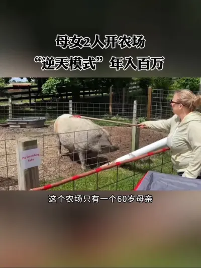 只有2人的逆天农场，靠一块小黑板年入百万！#三农 #农场 #休闲农业 #新农人 #共享农场