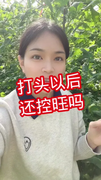 #西红柿种植 #控旺#膨果#大棚种植  点个关注 互相关注吧@抖音小助手