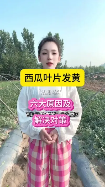 #抖音助农在行动 #抖音三农热点 #种植技术