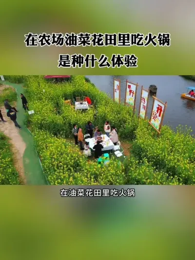 做农场别被场地绑架，乡野田园才是核心资源，要善于利用自然场景创造沉浸式体验，也能火出圈！#农场 #新农人 #休闲农业 #乡村旅游 #网红农场