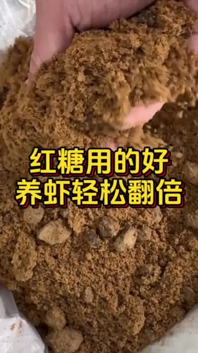 红糖用的好，养虾轻松翻倍#养虾人 #水产人 #南美白对虾 #嘉骏新水产 #嘉骏集团