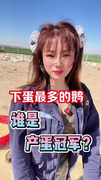 哪种鹅是产蛋冠军？原来这种鹅下蛋最多#养鹅人 #农村创业养殖 #养鹅技术分享