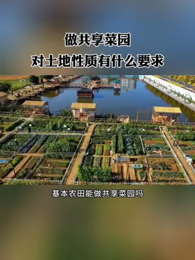 做共享菜园，对土地性质有什么要求？什么样的土地适合做共享菜园呢？#共享菜园 #农场 #新农人 #休闲农业 #共享农场