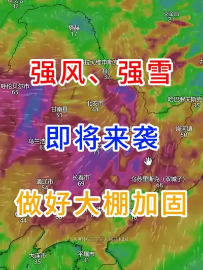 强风、强雪即将来袭，做好大棚加固 #极端天气  #东北最新天气预报  #实时天气 #三农气象