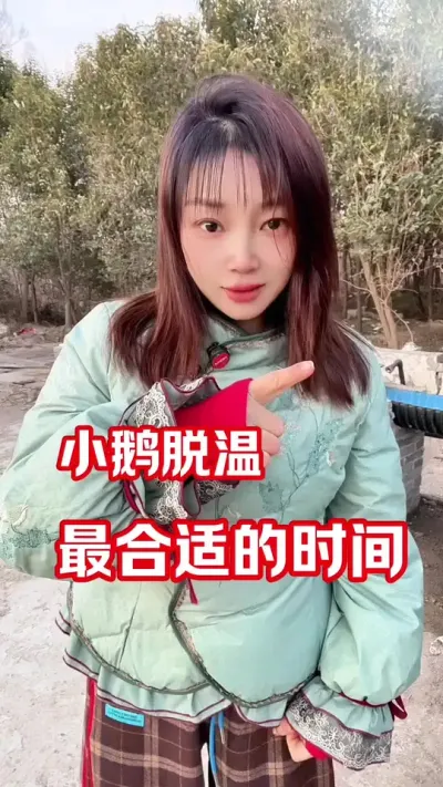 小鹅脱温的最佳时间#养殖不易每天记录 #养鹅人#养鹅技术分享