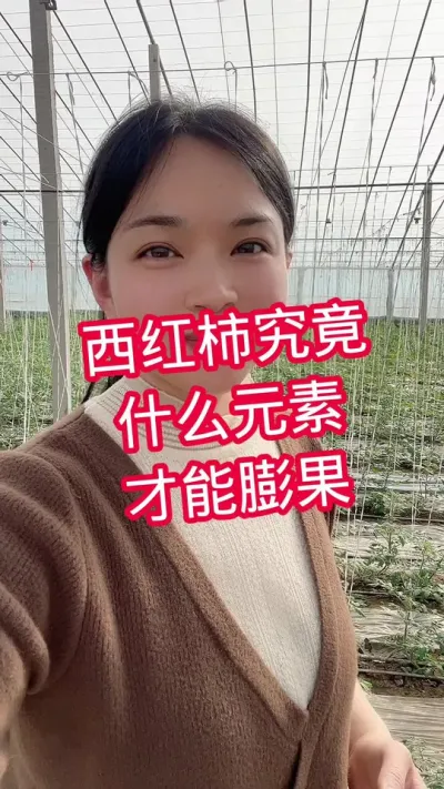 #西红柿种植#记录我的种植生活 #大棚种植 点个关注 互相学习吧@抖音小助手