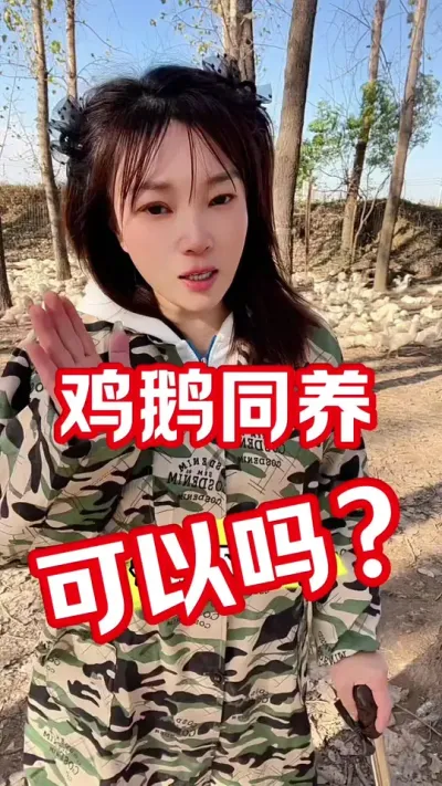 #农村创业养殖 #养鹅人#养鹅技术分享