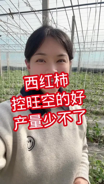 #西红柿种植 #控旺#记录我的种植生活 #大棚种植 点个关注 互相学习吧@抖音小助手