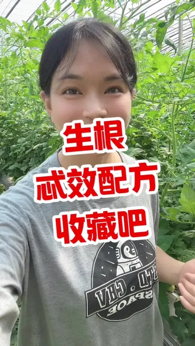 #生根剂 #生根配方 #西红柿种植 #大棚种植 点个关注 互相学习吧 @抖音小助手