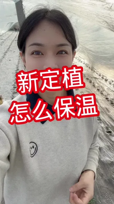 #西红柿种植#记录我的种植生活 点个关注 互相交流吧 @抖音小助手