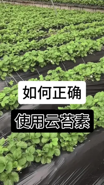 如何正确使用云台素