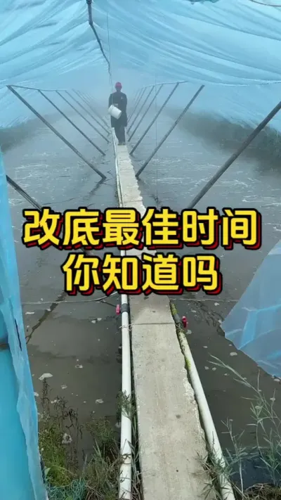 改底最佳时间你知道吗#南美白对虾 #水产人 #养虾人 #水产养殖 #嘉骏新水产