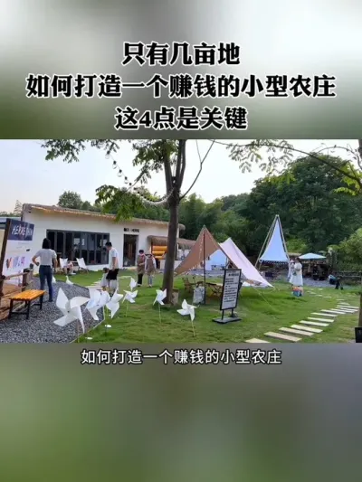 只有几亩地，如何打造一个赚钱的小型农庄？这4点是关键！#新农人 #亲子农场 #特色农庄 #亲子农庄 #农场