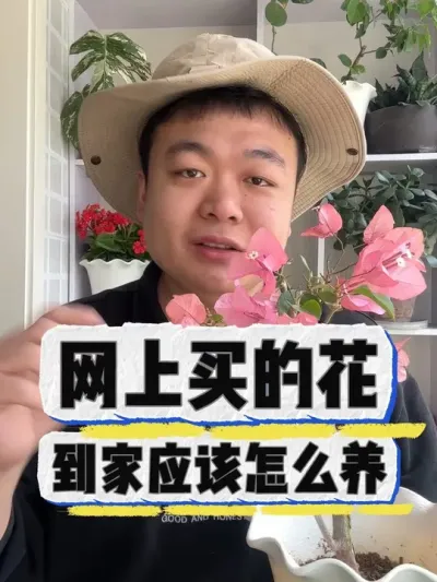 网上买的花，到家应该怎么去养。 #养花小知识 #花卉 #盆栽 #养花 #花卉绿植