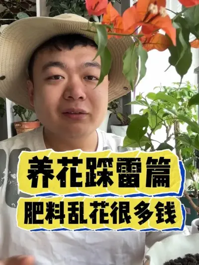 养花踩雷篇，你到底花了多少冤枉钱。 #养花 #养花小知识 #花卉 #花卉绿植 #盆栽