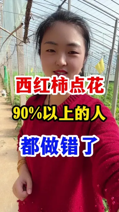 西红柿点花您都做对了吗 #西红柿种植 #西红柿种植技术
