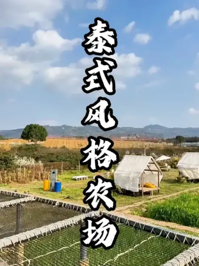 农场打造泰式风格主题，快速脱颖而出#游云文旅 #规划设计 #乡村振兴 #周二课堂