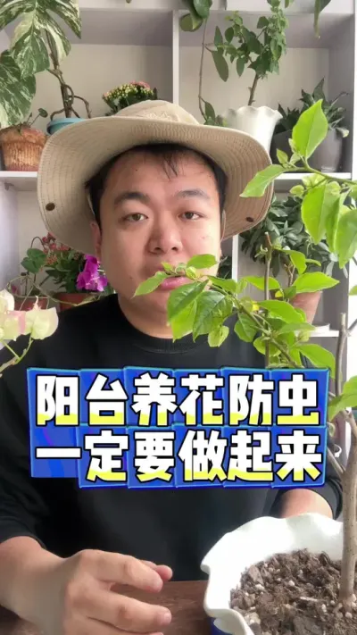 阳台养花小虫一定提前预防，今天有个小诀窍。 #养花小知识 #花卉 #养花 #花卉绿植 #盆栽