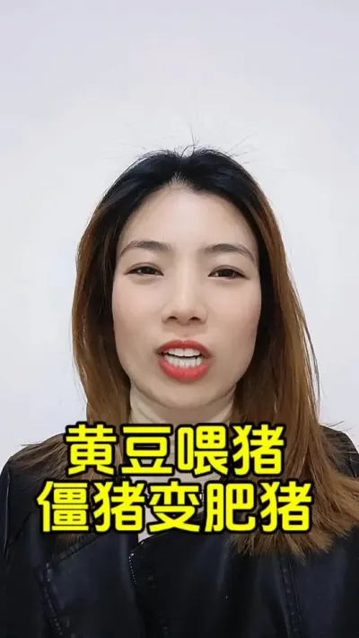 黄豆喂猪，僵猪变肥猪#每天分享养猪知识 #养猪小知识 #三农养猪人 #农村养猪人 #养猪人不容易