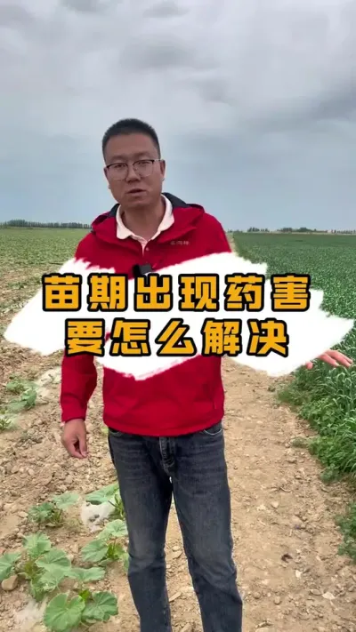 根据不同地块不同情况合理用药#丰向标