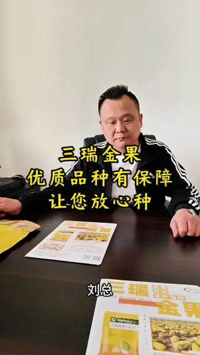 大片率60%以上的三瑞金果#三瑞金果#丰向标